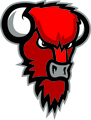 Bisons Loimaa