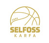 Selfoss b MB10 dr.