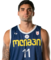 G. Turdziladze